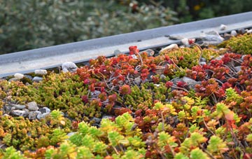 the cost of Corner Row green roof installation