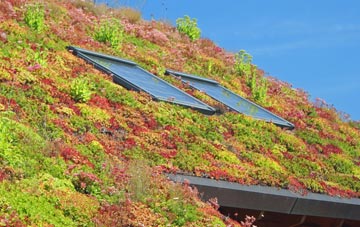 Corner Row living roof systems