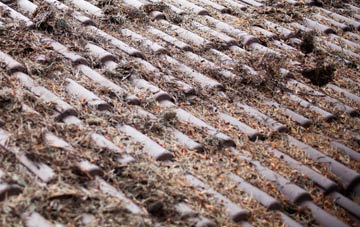 Corner Row roof cleaning companies