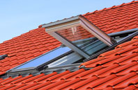 Corner Row roof window